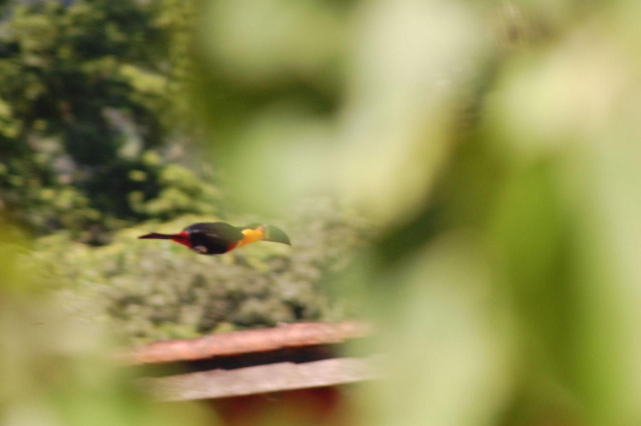 Pousada Toca Da Anita Maresias Сан-Себастьян Экстерьер фото