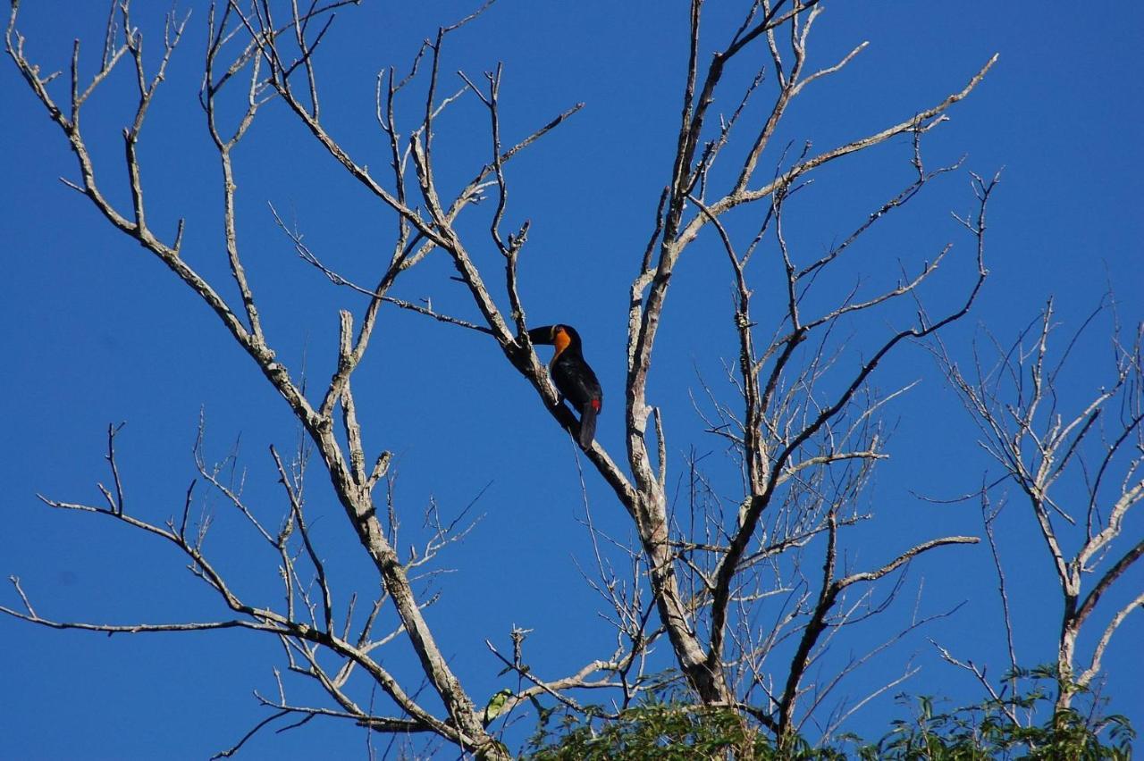Pousada Toca Da Anita Maresias Сан-Себастьян Экстерьер фото